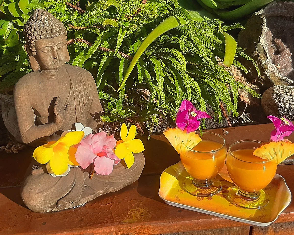 Deux jus de fruits frais décorés de fleurs, servis à l'arrivée