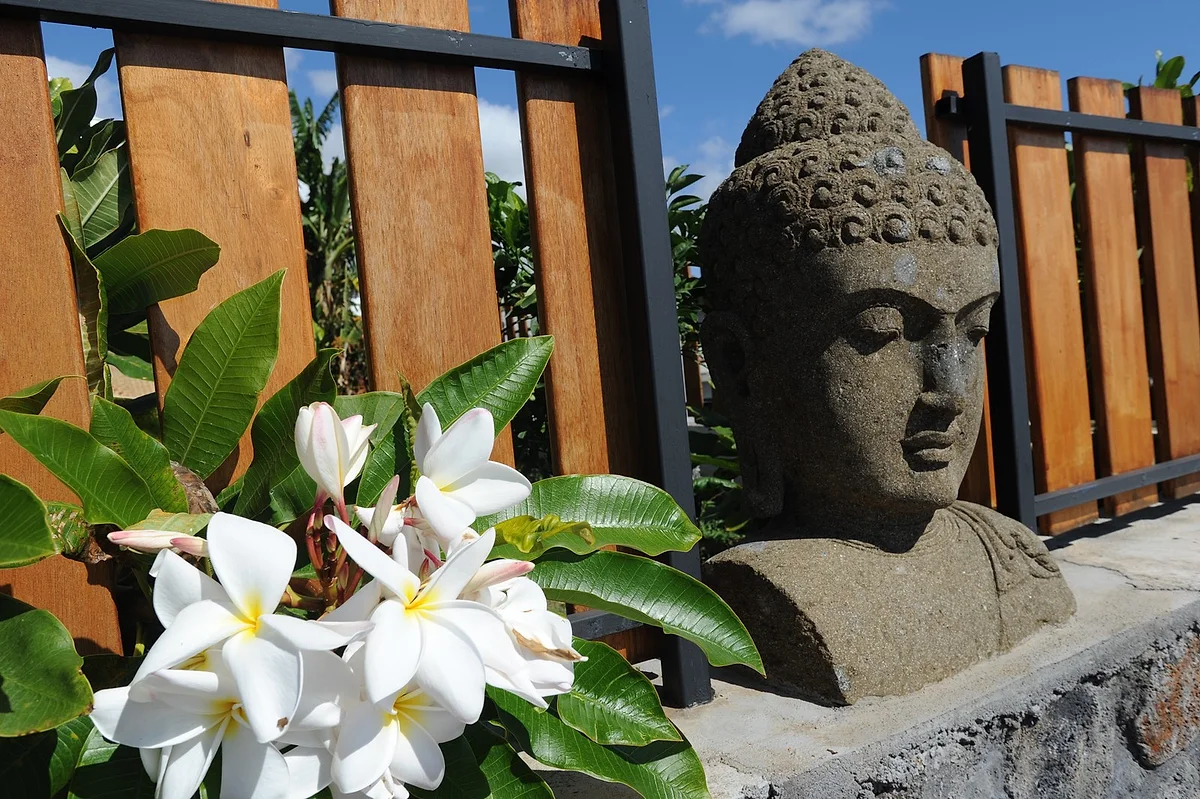 Des fleurs de frangipanier devant une tête de bouddha