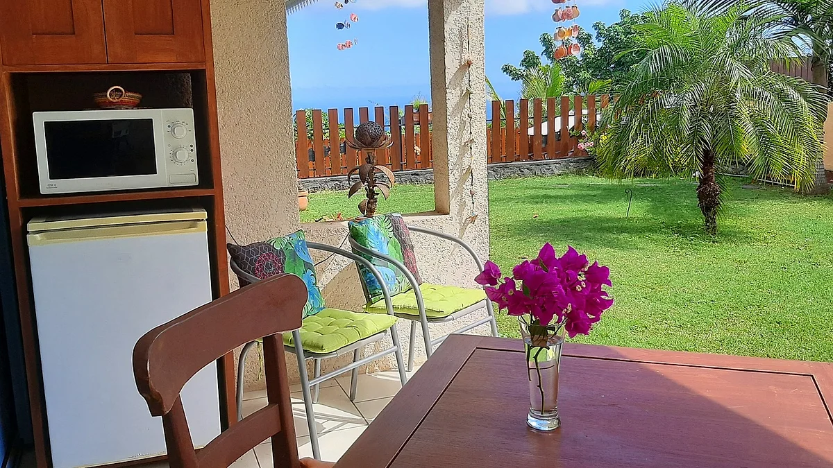 Le coin cuisine avec le frigo et le micro-ondes, face au jardin