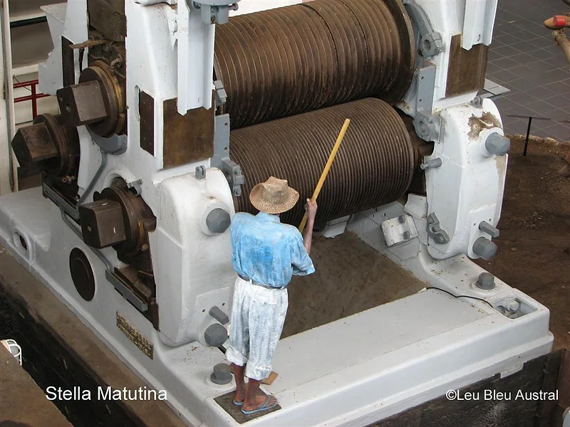 L'ancienne usine sucrière de Stella Matutina